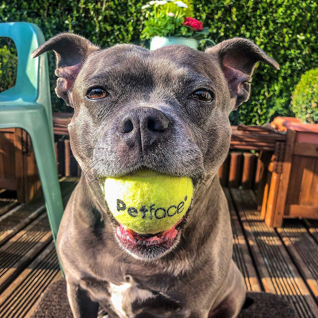 Tennis ball
