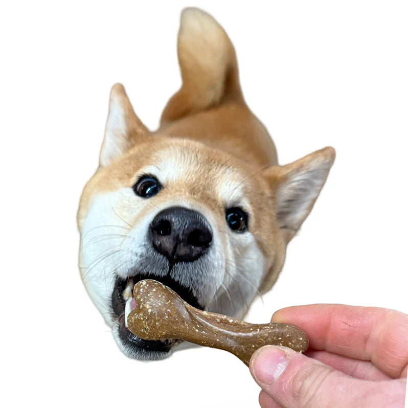 Bedtime Bones