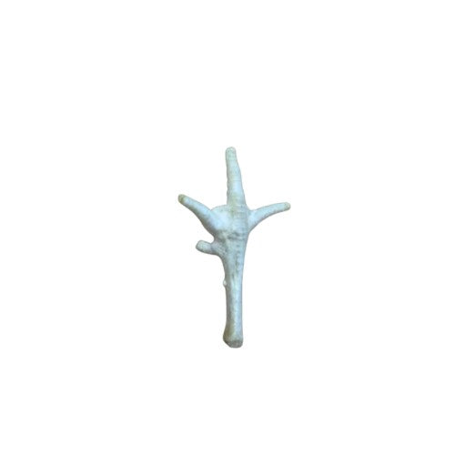 Puffed Chicken Foot