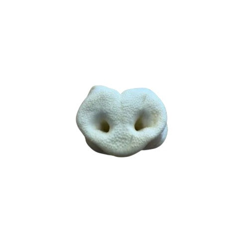 Puffed Pig Snout