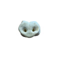 Puffed Pig Snout