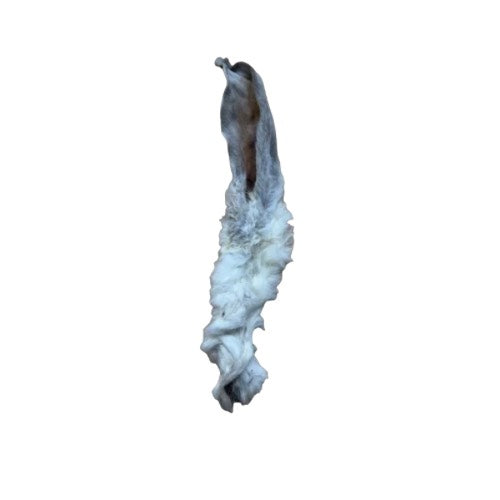 Hairy Rabbit Ear
