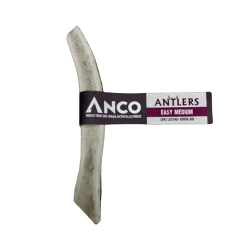 Easy Medium Antler