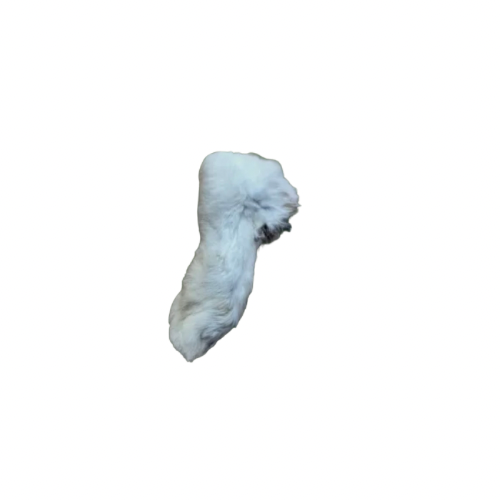 Rabbit feet