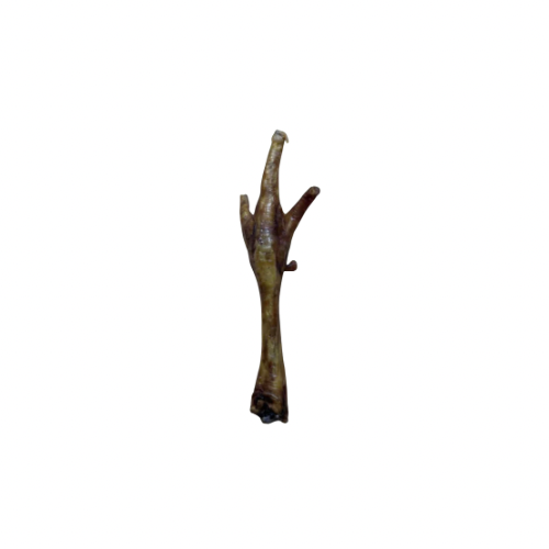 Turkey foot