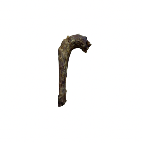 Turkey Neck