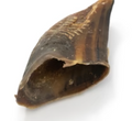 Cow Hooves