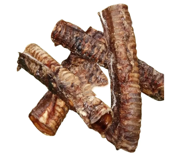 Buffalo Trachea