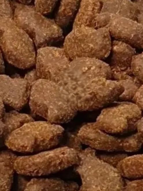 Salmon and Trout Treats